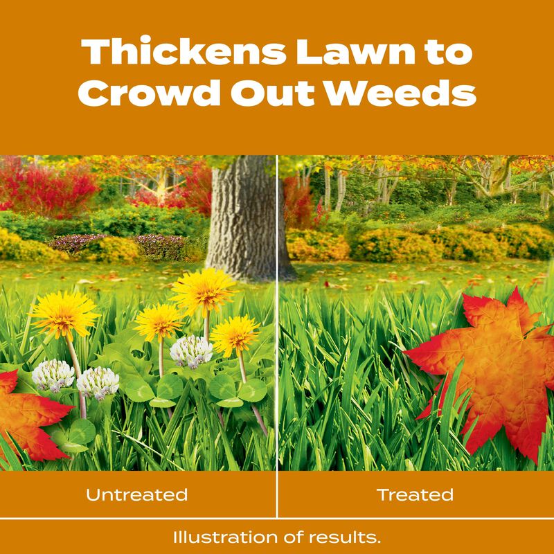 Scotts® Turf Builder® WinterGuard® Fall Weed & Feed₅ image number null