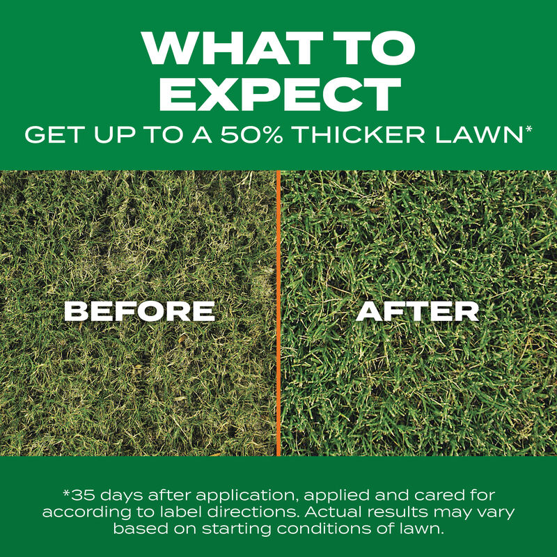 Scotts® Turf Builder® Thick'R Lawn® Bermudagrass image number null