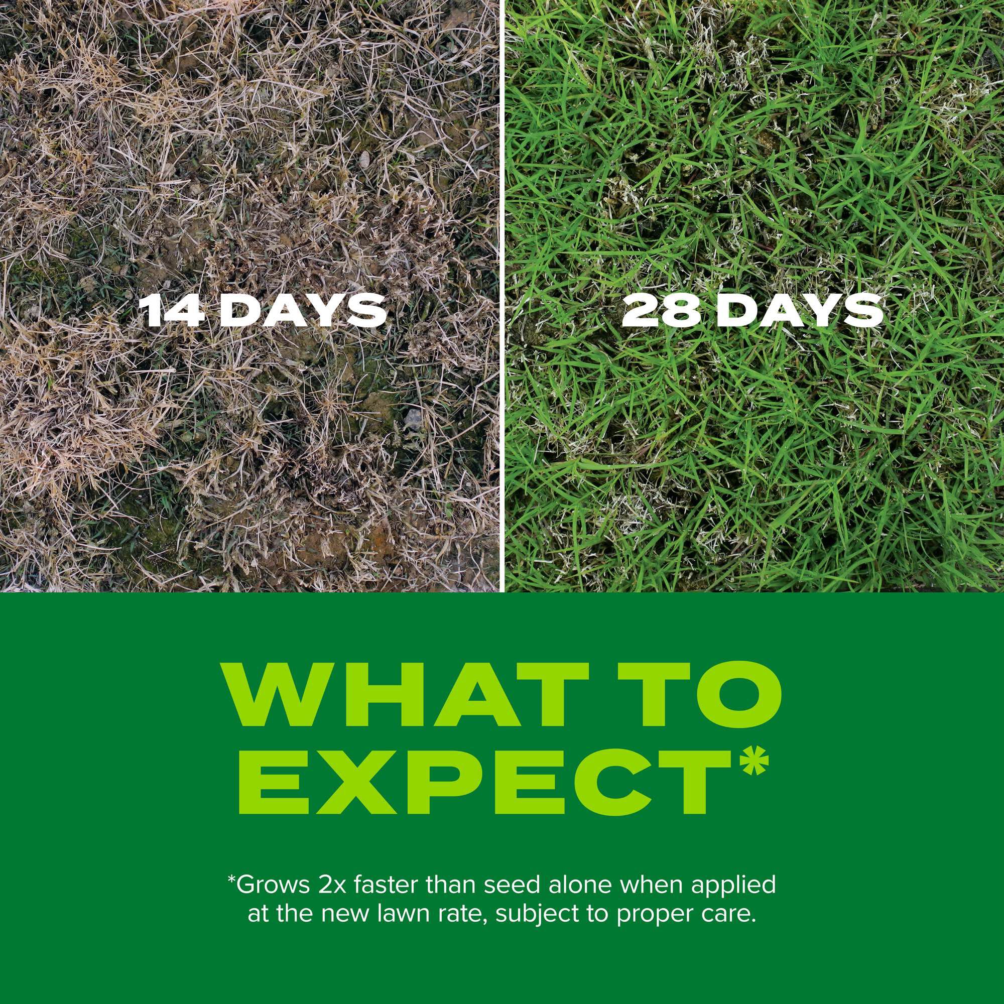 Scotts Turf Builder Rapid Grass Bermudagrass Scotts