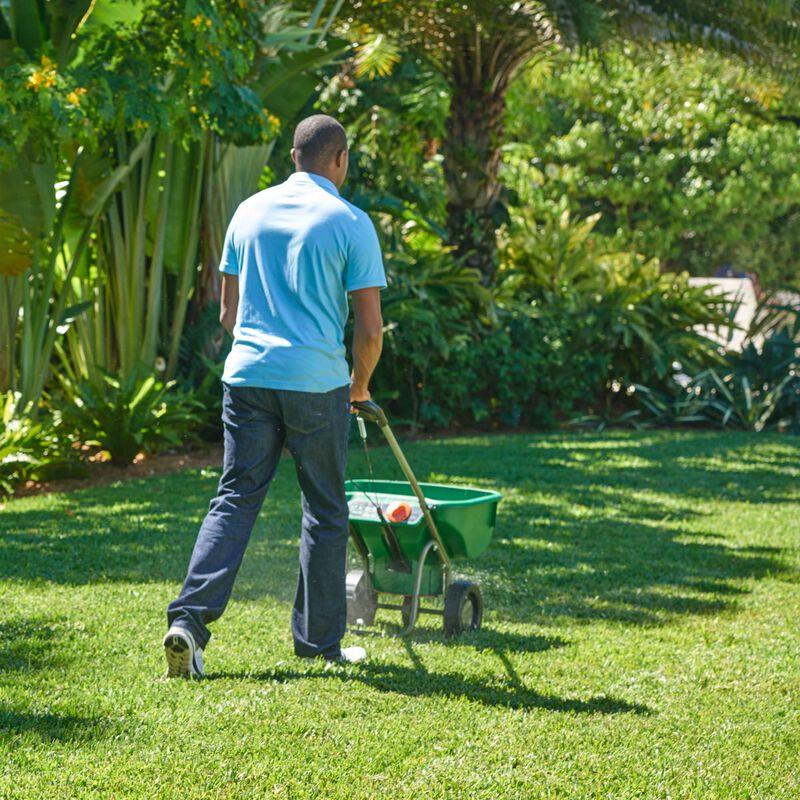 Scotts Turf Builder Southern Lawn Food Scotts