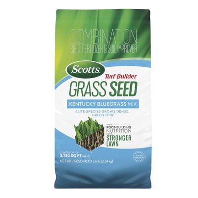 Scotts® Turf Builder® Grass Seed Kentucky Bluegrass Mix