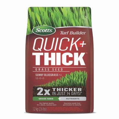 Scotts® Turf Builder® Quick + Thick™ Grass Seed  Sunny Bluegrass Mix