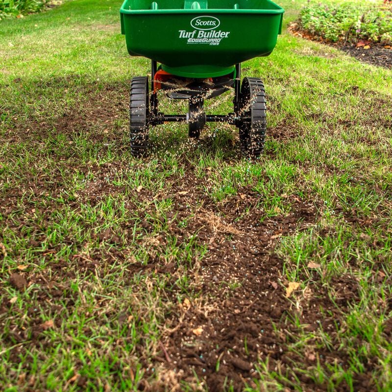 Scotts® Turf Builder® Quick + Thick™ Grass Seed Sun - Shade image number null