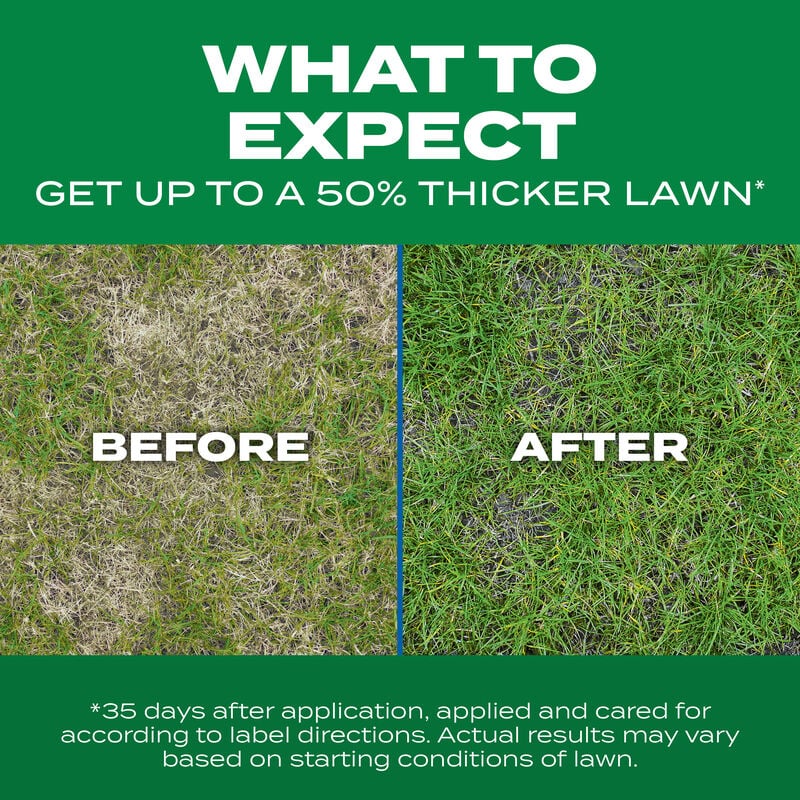 Scotts® Turf Builder® Thick'R Lawn® Sun & Shade image number null