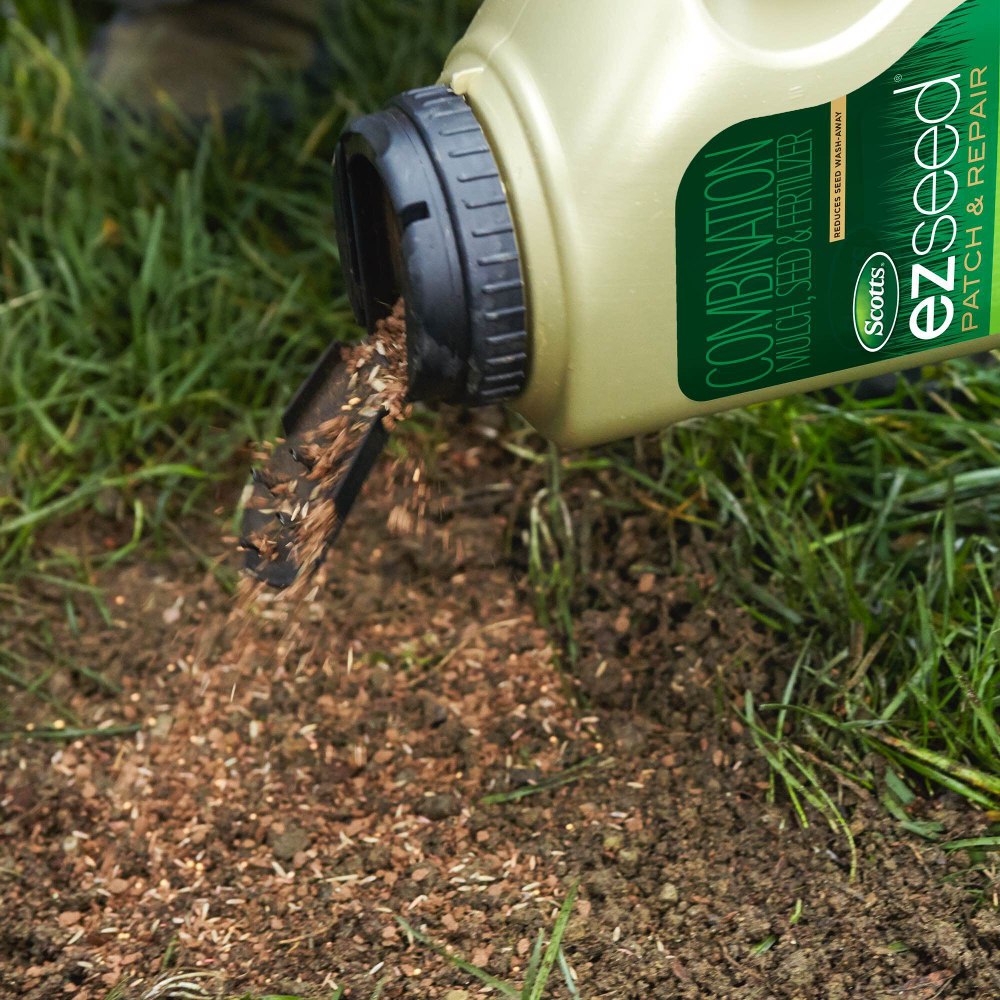 Ez seed outlet