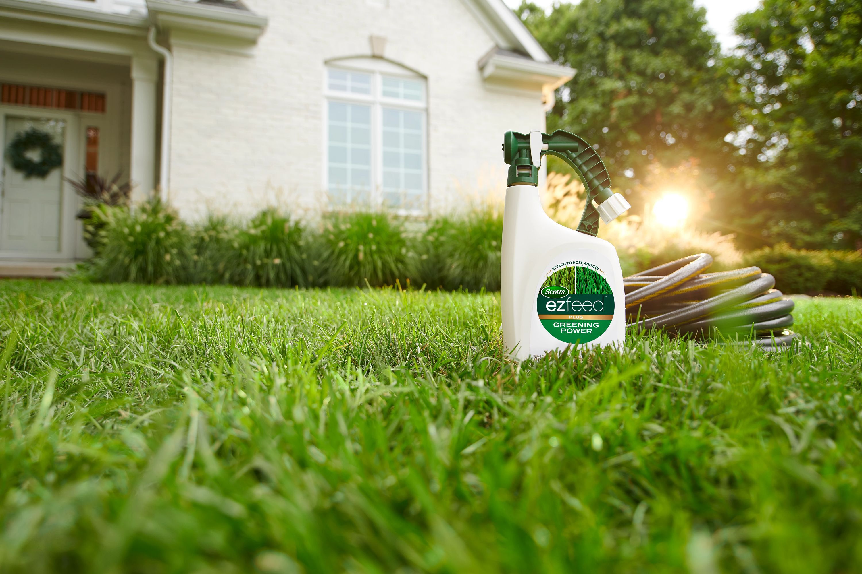 Scotts EZ Feed Plus Greening Power | Scotts