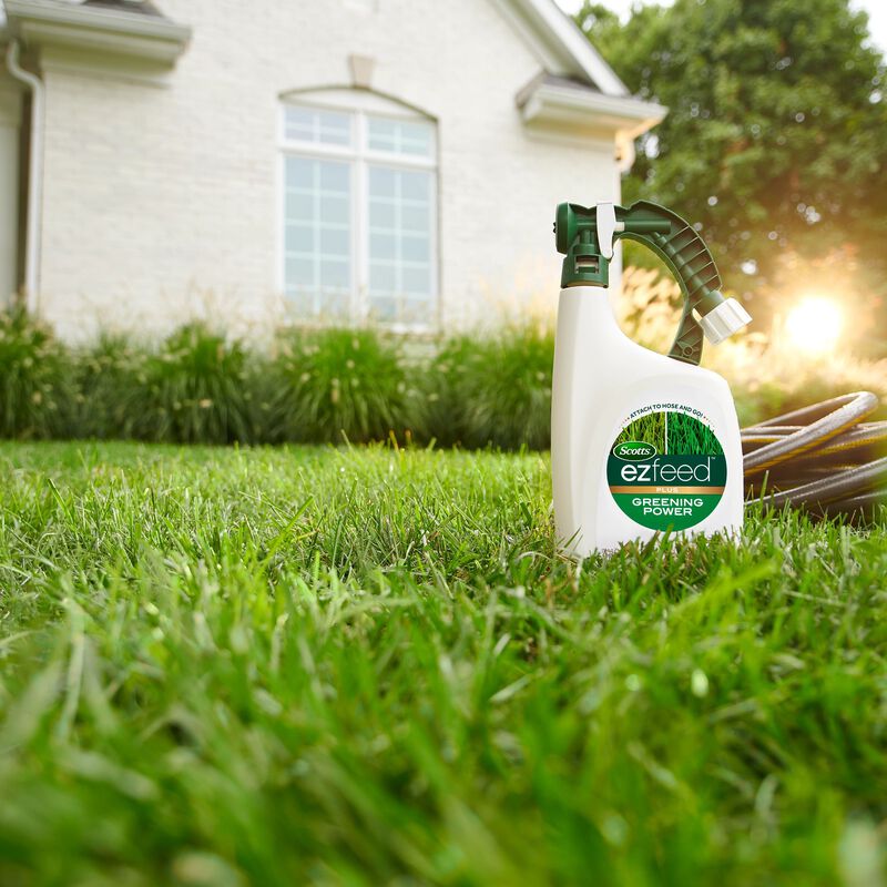 Scotts® EZ Feed™ Plus Greening Power image number null