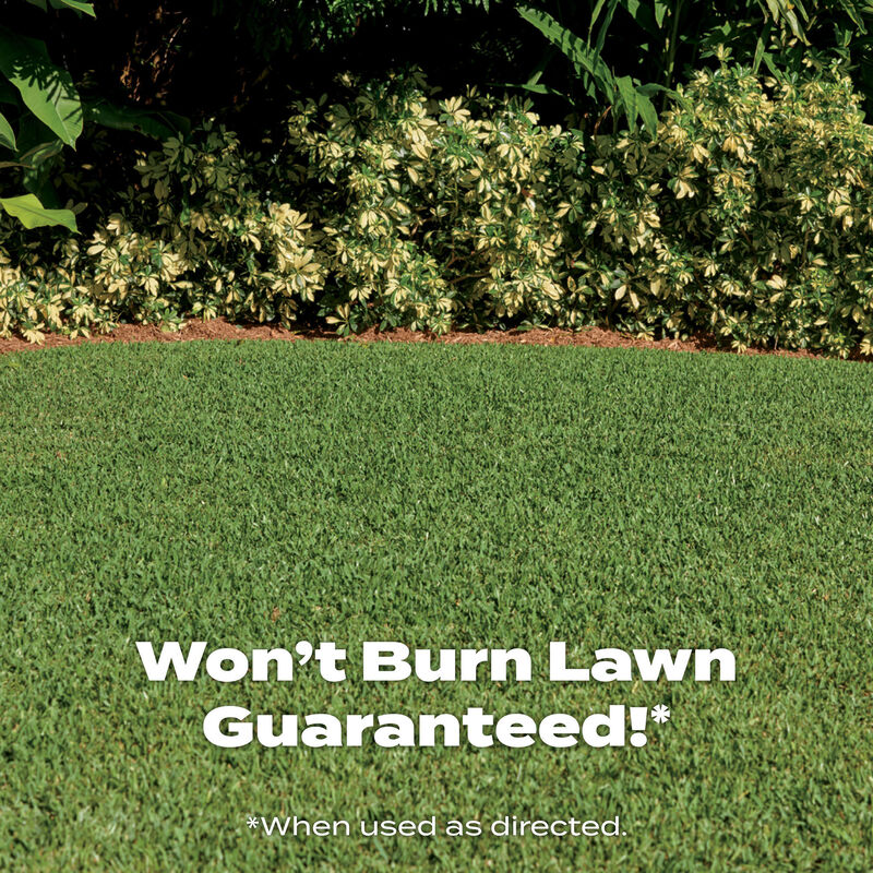 Scotts® Turf Builder® Fall Lawn FoodFL image number null
