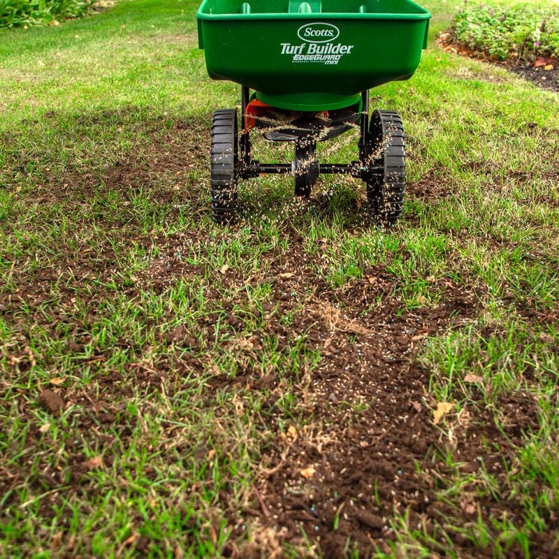 Scotts® Turf Builder® Quick + Thick™ Grass Seed Dense Shade Mix image number null