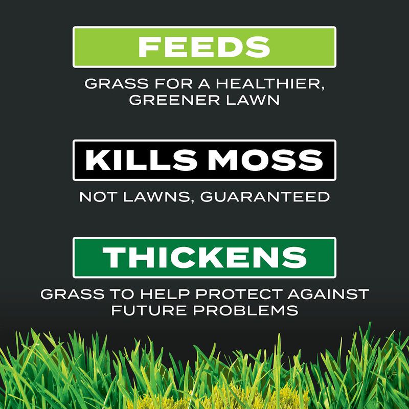 Scotts® Turf Builder® Triple Action for Moss Control image number null