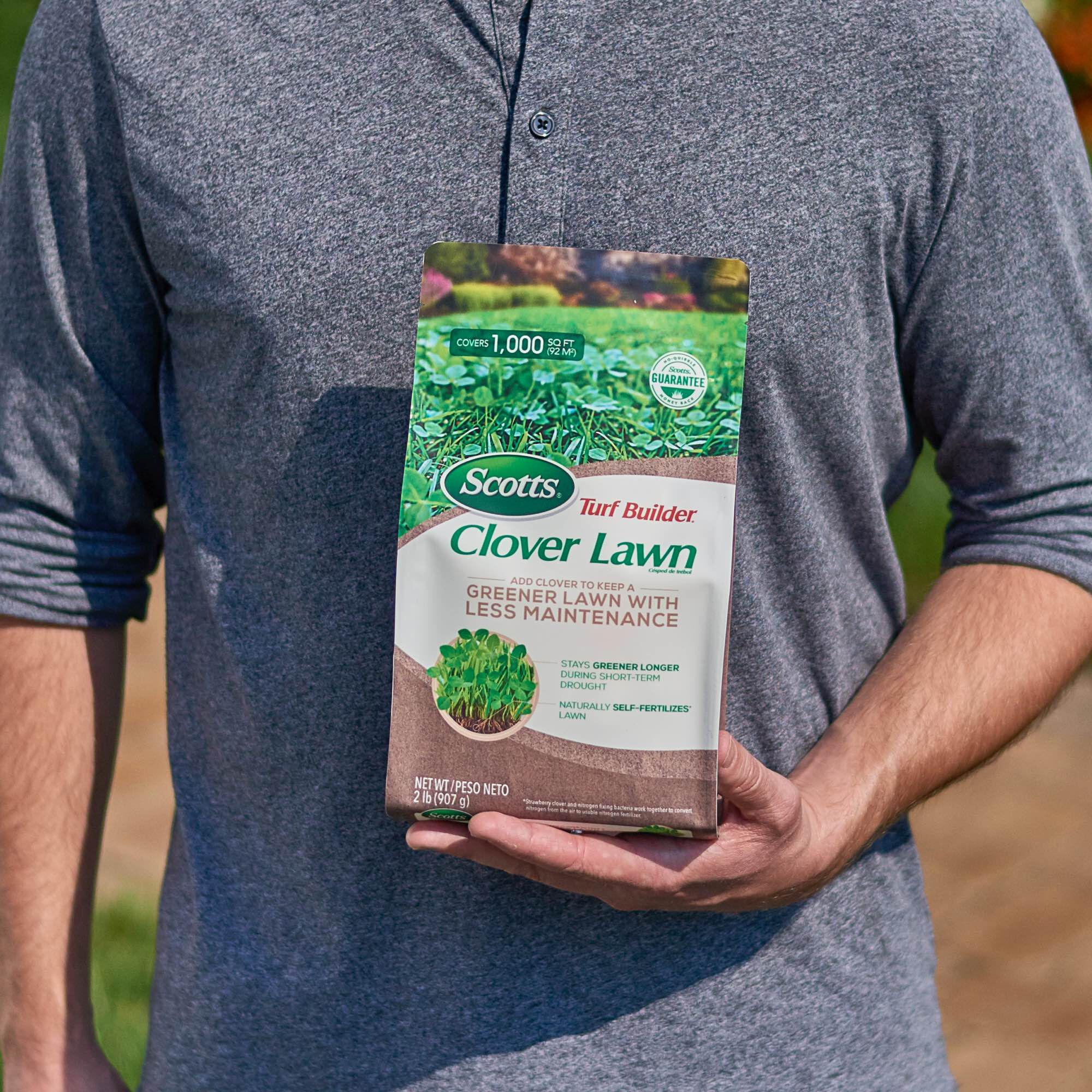 Scotts clover hot sale lawn