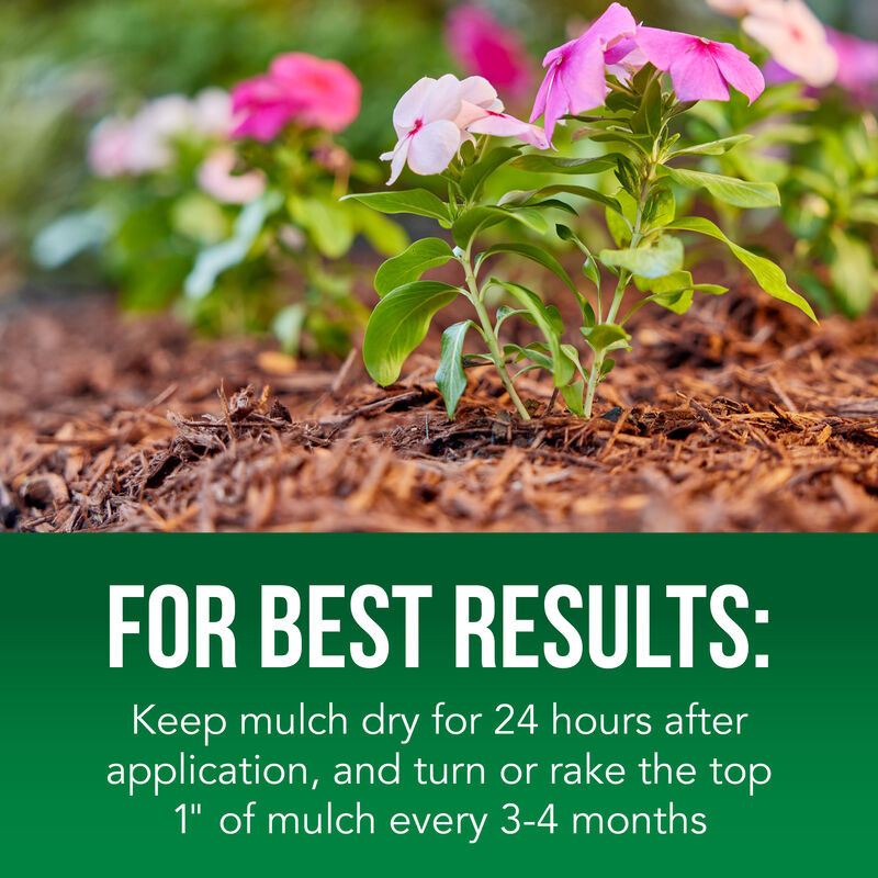 Earthgro® by Scotts® Black Mulch image number null