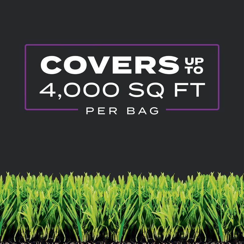 Scotts® Turf Builder® Southern Triple Action image number null