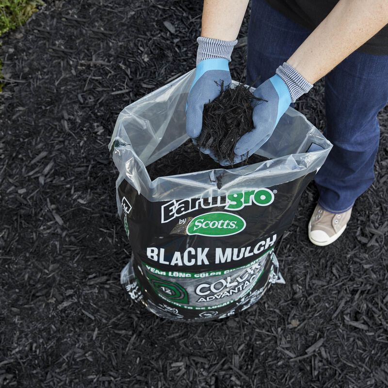 Earthgro® by Scotts® 1.5 cu. ft. Bagged Black Wood Mulch image number null
