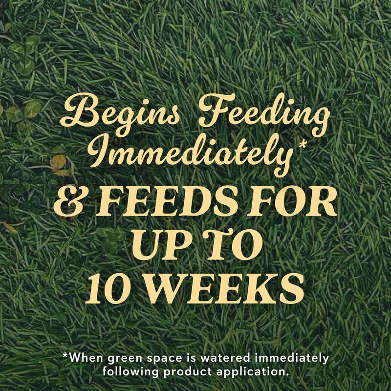 O.M. Scott & Sons™ Natural Grass Food image number null