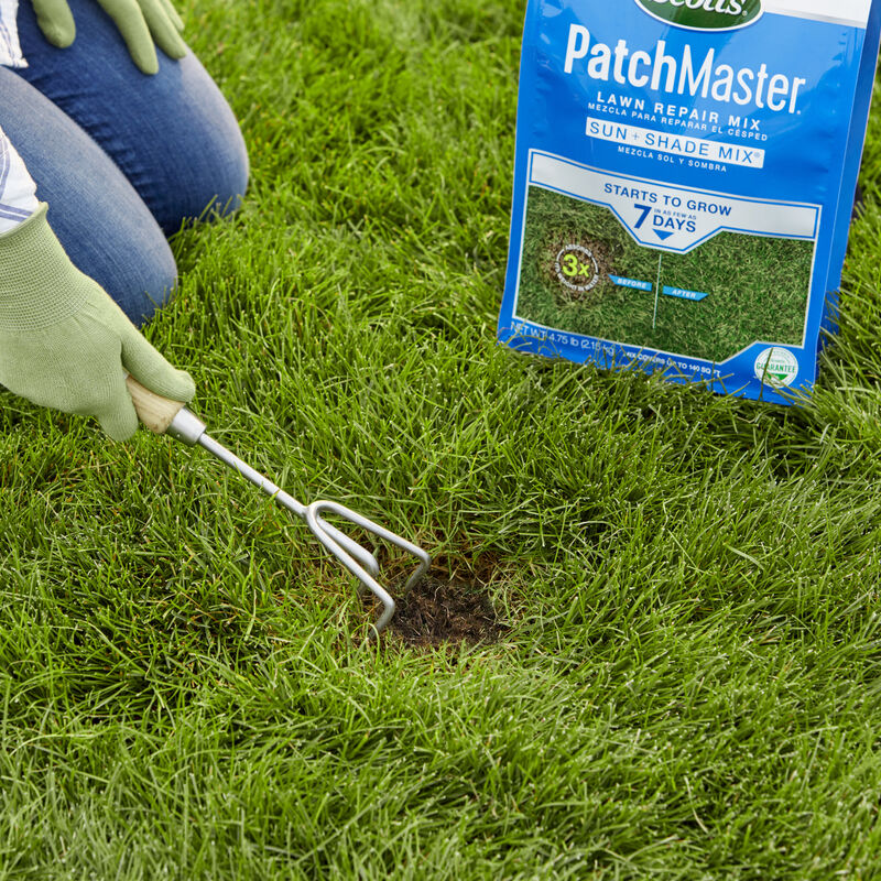 Scotts® PatchMaster® Lawn Repair Mix Sun + Shade Mix image number null
