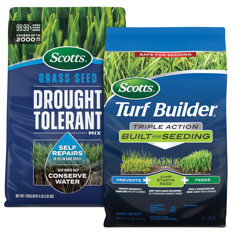 Scotts® Grass Seed Drought Tolerant Mix and Turf Builder® Triple Action Built for Seeding image number null