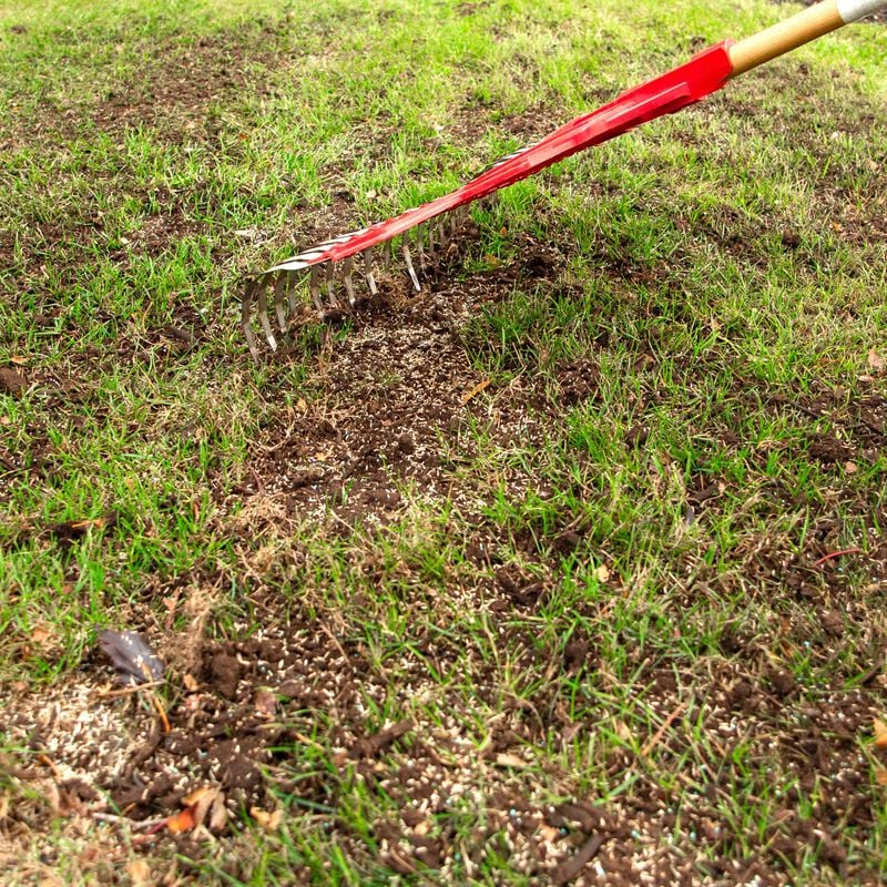 Scotts® Turf Builder® Quick + Thick™ Grass Seed Sun - Shade image number null