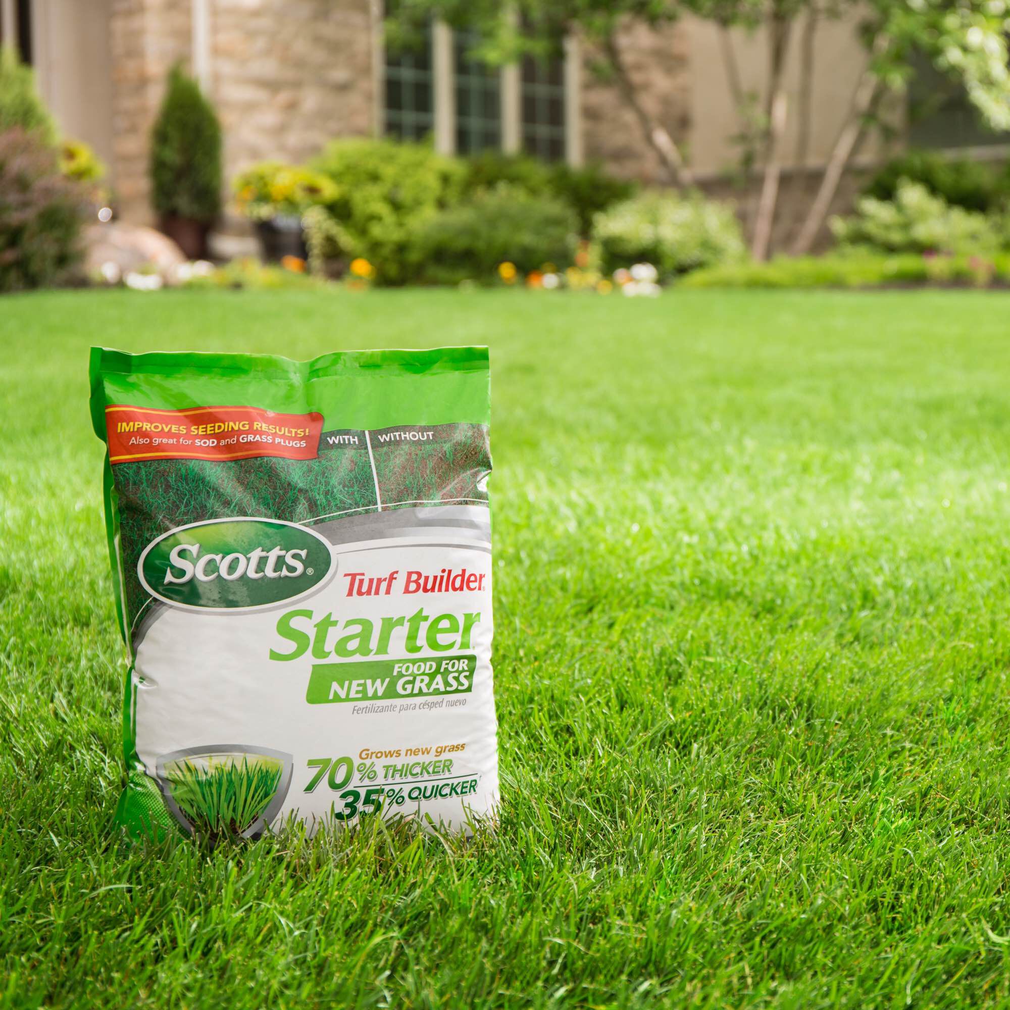 New lawn cheap fertilizer
