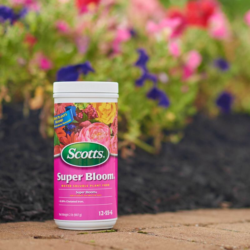 Scotts® Super Bloom Water Soluble Plant Food image number null