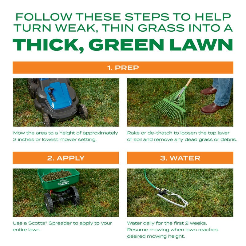 Scotts® Turf Builder® Thick'R Lawn® Bermudagrass image number null