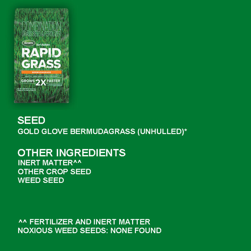 Scotts® Turf Builder® Rapid Grass™ Bermudagrass image number null