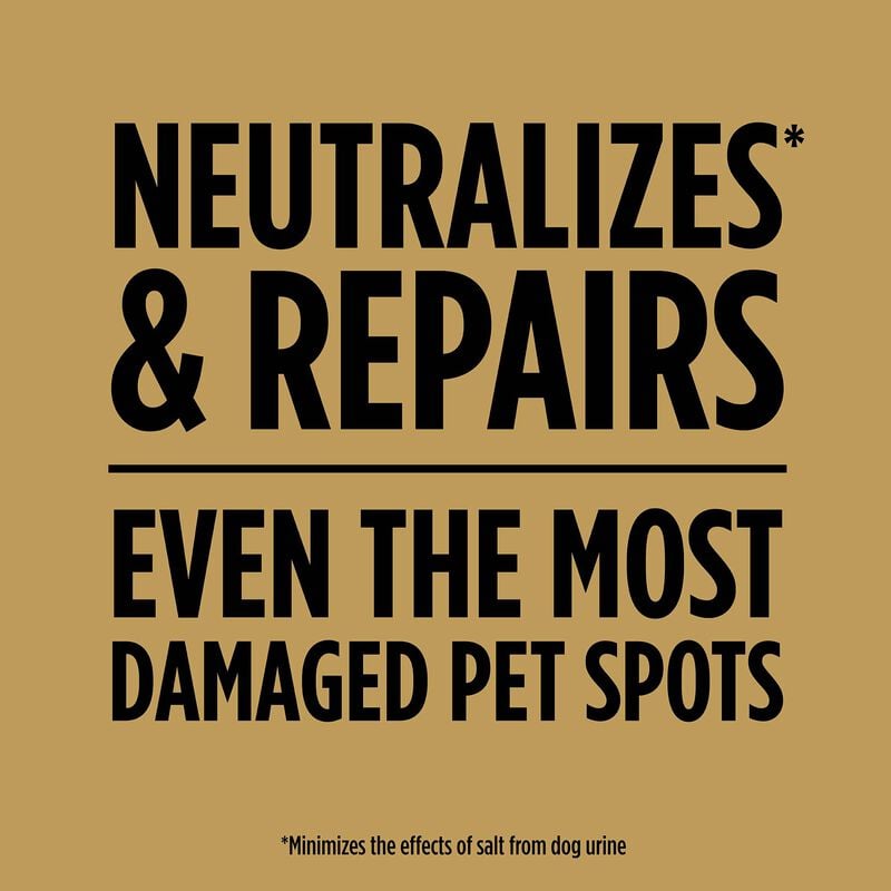 Scotts® EZ Seed® Dog Spot Repair Tall Fescue Lawns image number null