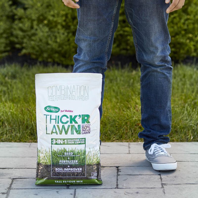 Scotts Turf Builder Thick R Lawn Tall Fescue Mix Scotts Scotts Turf Builder Thick R Lawn Tall Fescue Mix Scotts