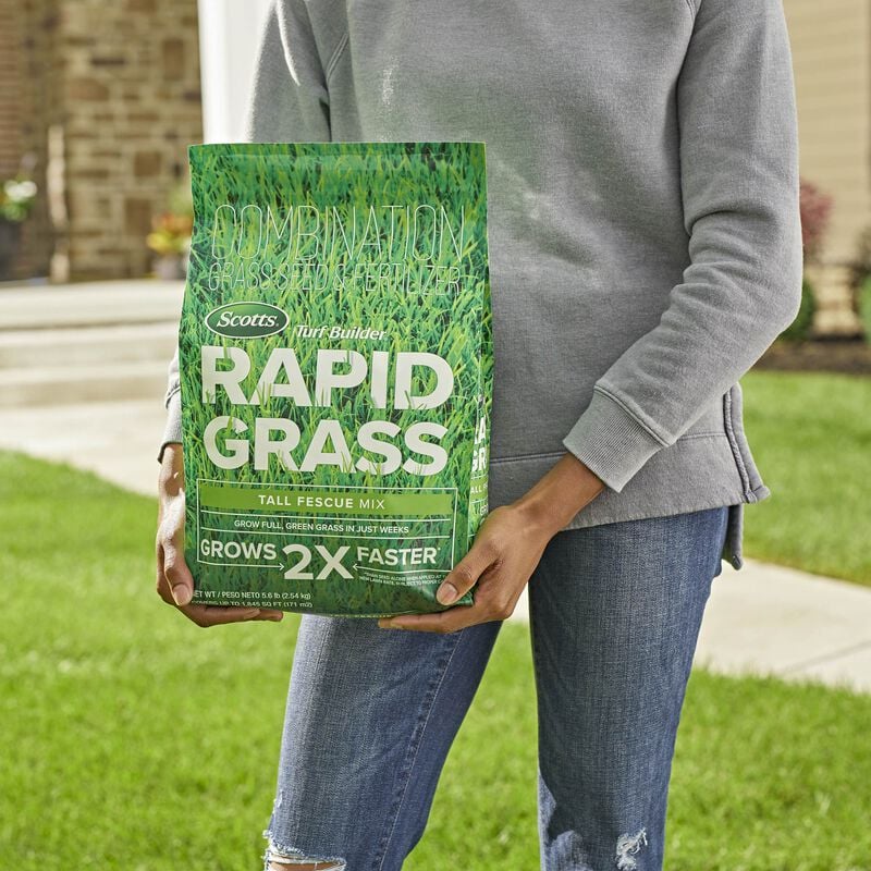 Scotts® Turf Builder® Rapid Grass Tall Fescue Mix image number null