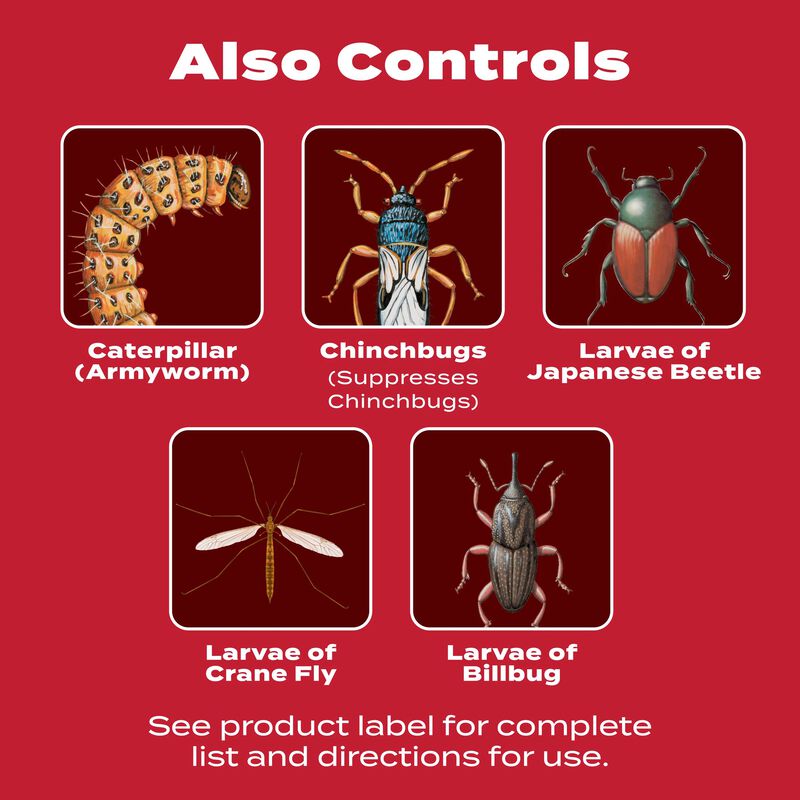 Scotts® GrubEx®₁ Season Long Grub Killer image number null