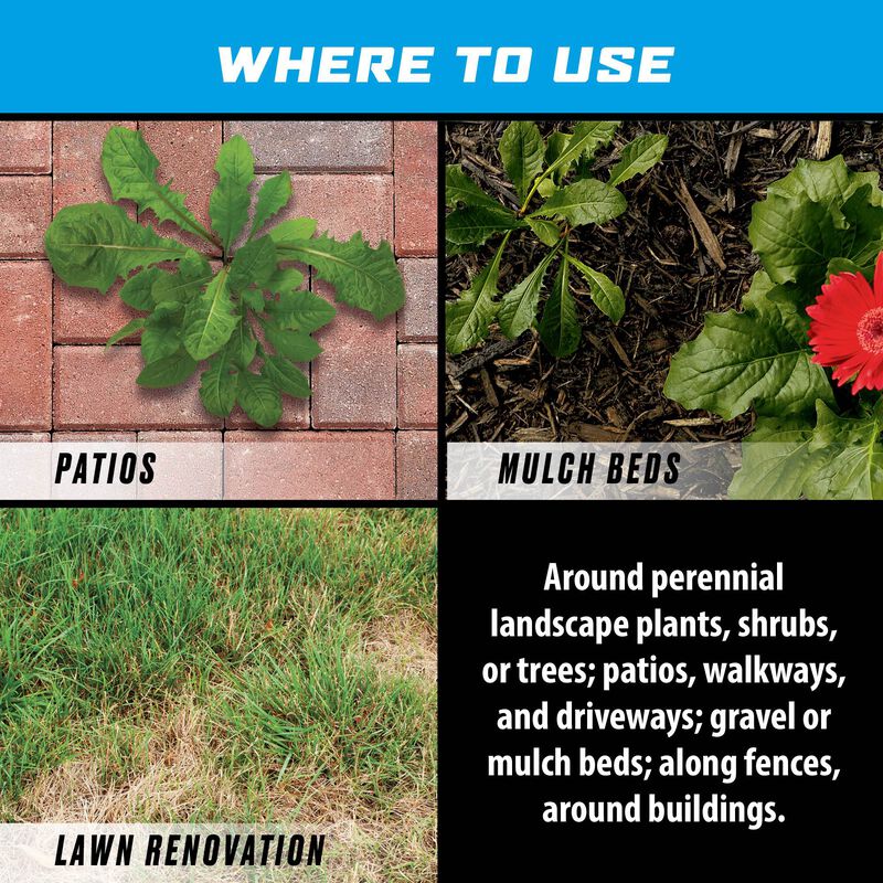Ortho® Groundclear® Weed & Grass Killer Super Concentrate₁ image number null
