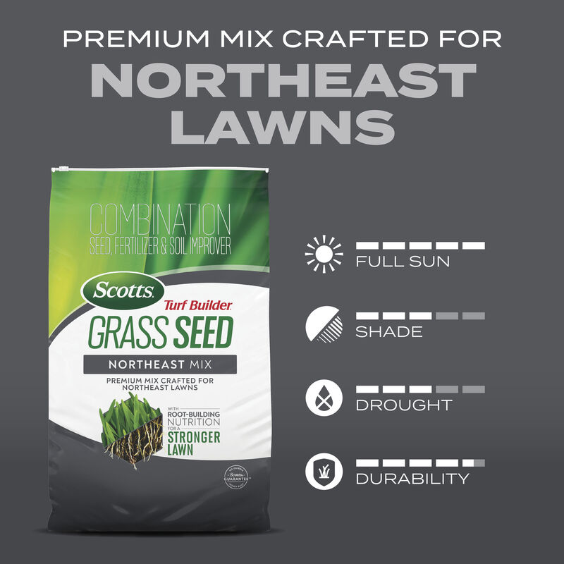 Scotts® Turf Builder® Grass Seed Northeast Mix image number null