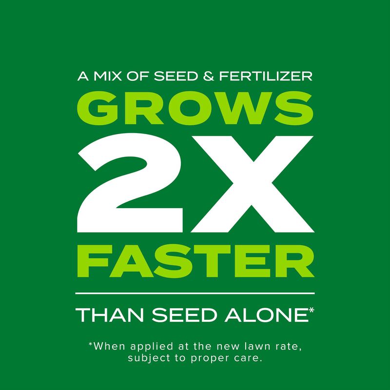 Scotts® Turf Builder® Rapid Grass Tall Fescue Mix image number null