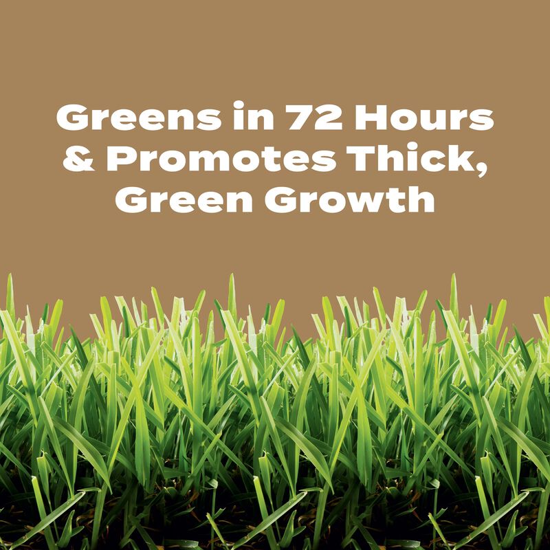 Scotts® Turf Builder® Weed & Feed for Texas Lawns image number null