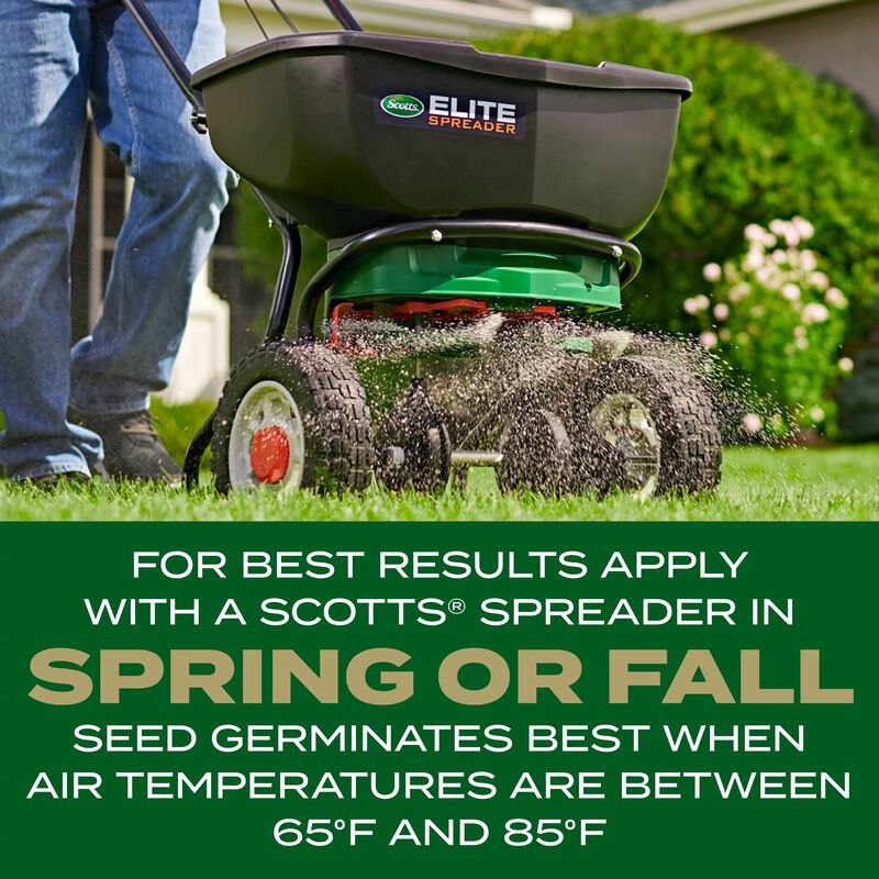 Scotts® Turf Builder Rapid Grass™ Southern Gold® Blend for Tall Fescue Lawns image number null