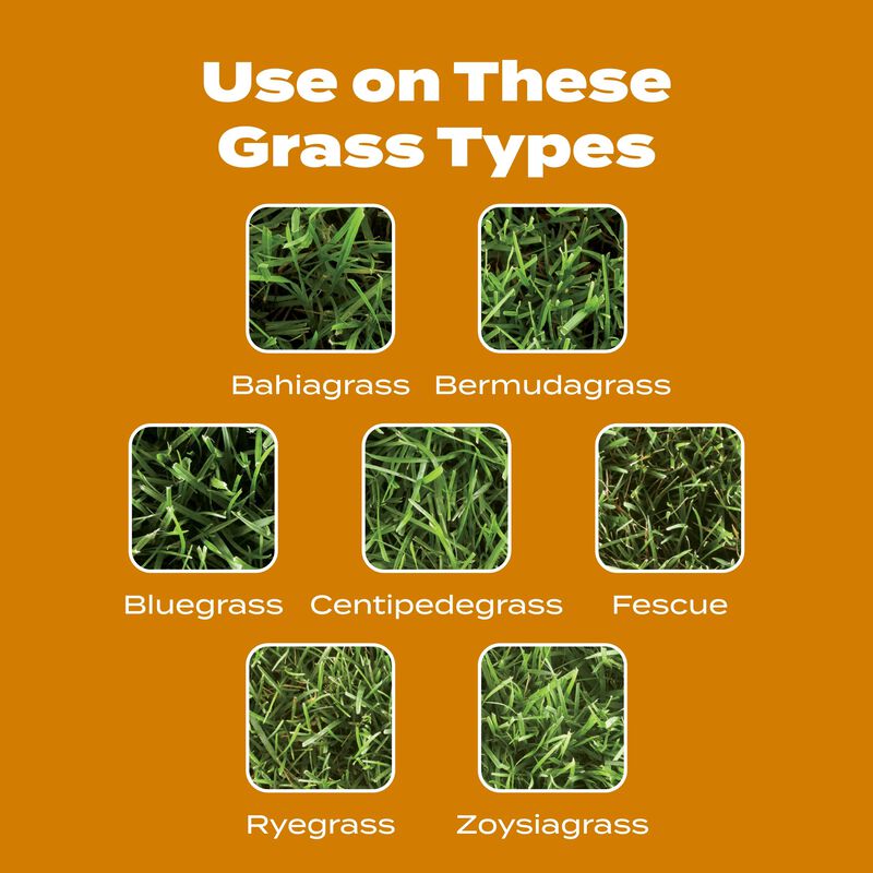 Scotts® Turf Builder® WinterGuard® Fall Weed & Feed₅ image number null