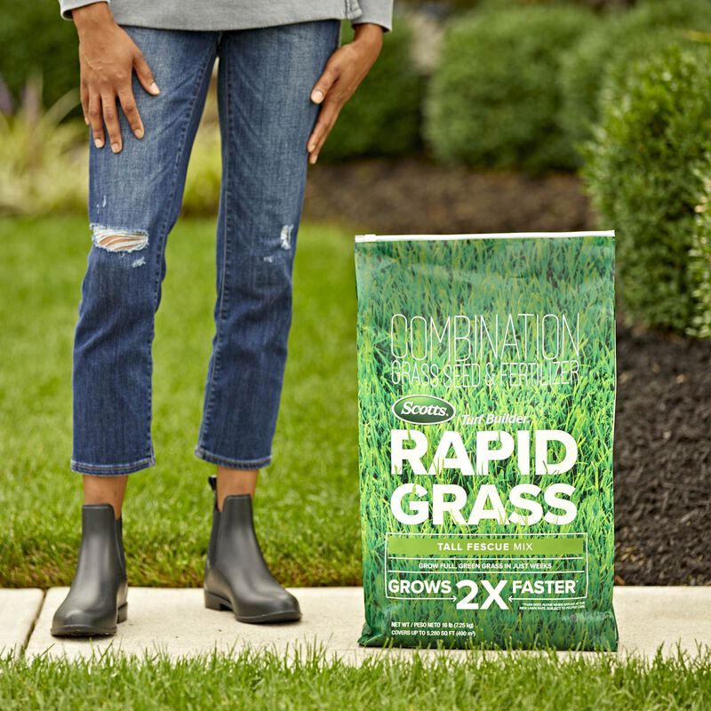 Scotts® Turf Builder® Rapid Grass Tall Fescue Mix image number null
