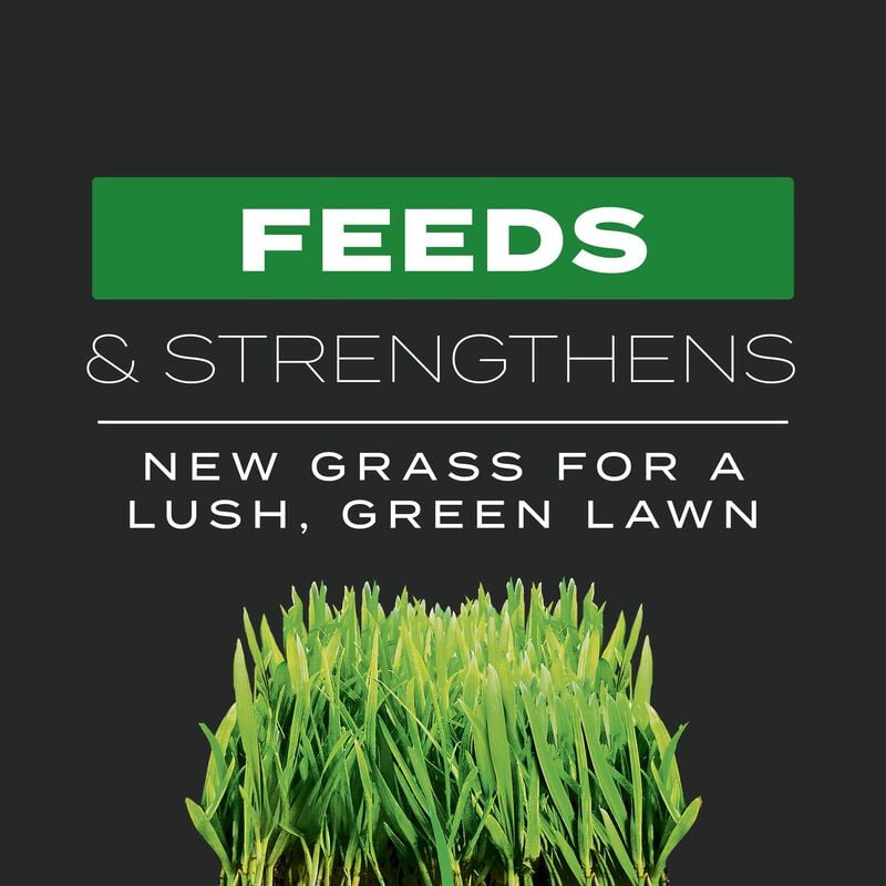 scotts turf builder triple action built for seeding
