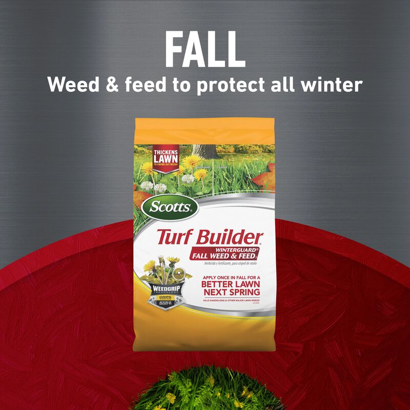 Scotts® Turf Builder® Bundle for Small, Northern Lawns + Scotts® Turf Builder® EdgeGuard® Mini Broadcast Spreader image number null