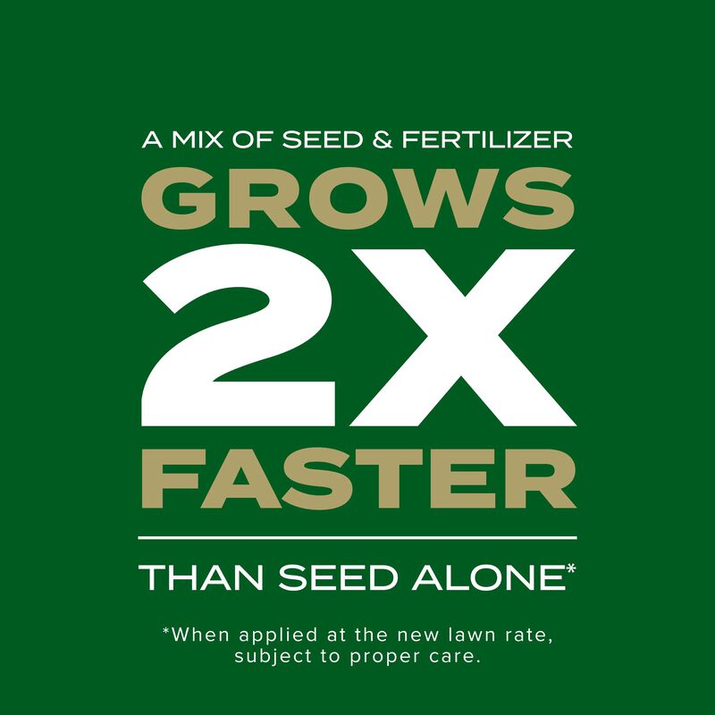 Scotts® Turf Builder Rapid Grass™ Southern Gold® Blend for Tall Fescue Lawns image number null