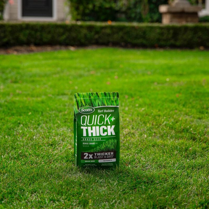 Scotts® Turf Builder® Quick + Thick™ Grass Seed Dense Shade Mix image number null