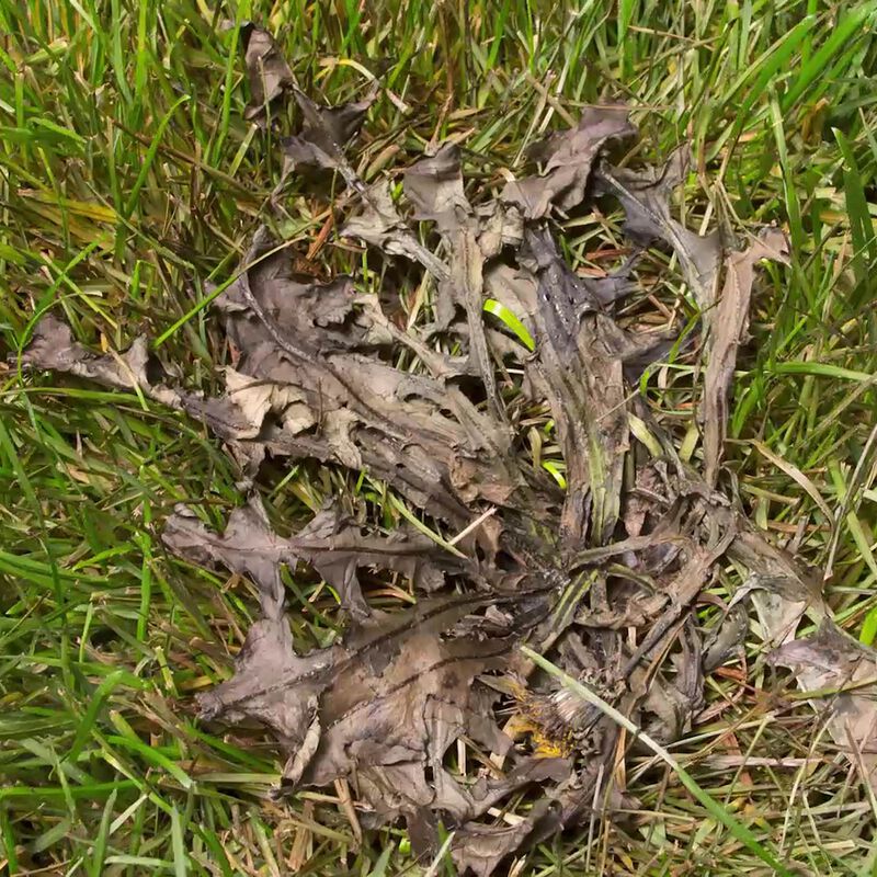 Scotts® Weed B Gon® MAX Weed Control  for Lawns Concentrate image number null