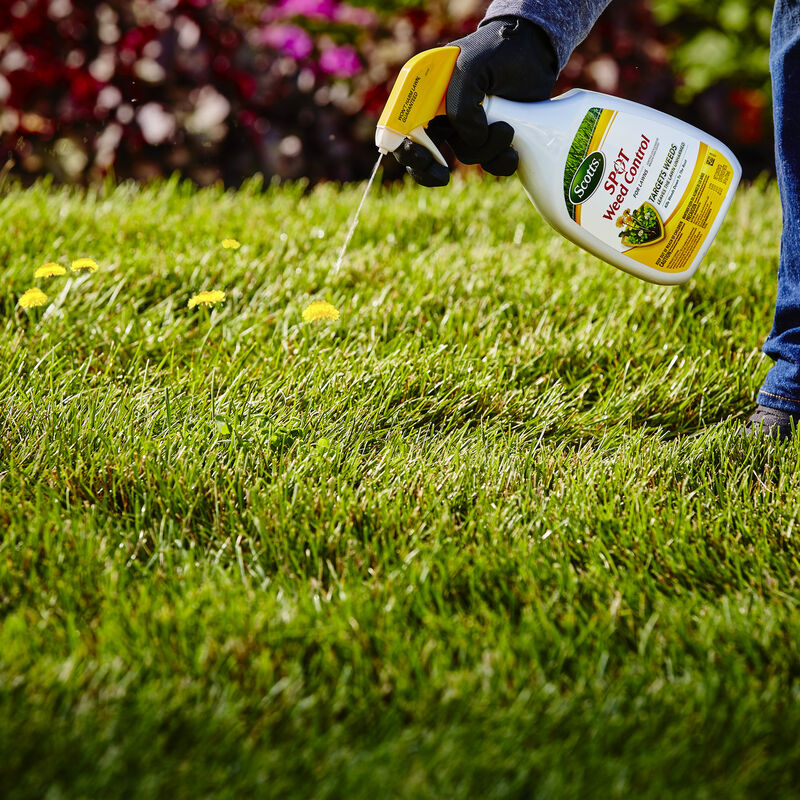Scotts® Spot Weed Control for Lawns image number null