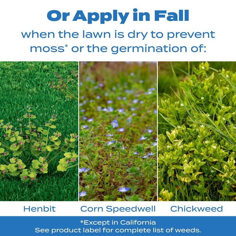 Scotts® Halts® Crabgrass & Grassy Weed Preventer image number null