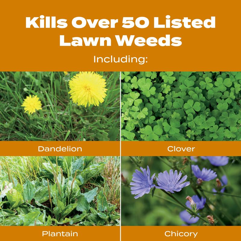 Scotts® Turf Builder® WinterGuard® Fall Weed & Feed₅ image number null