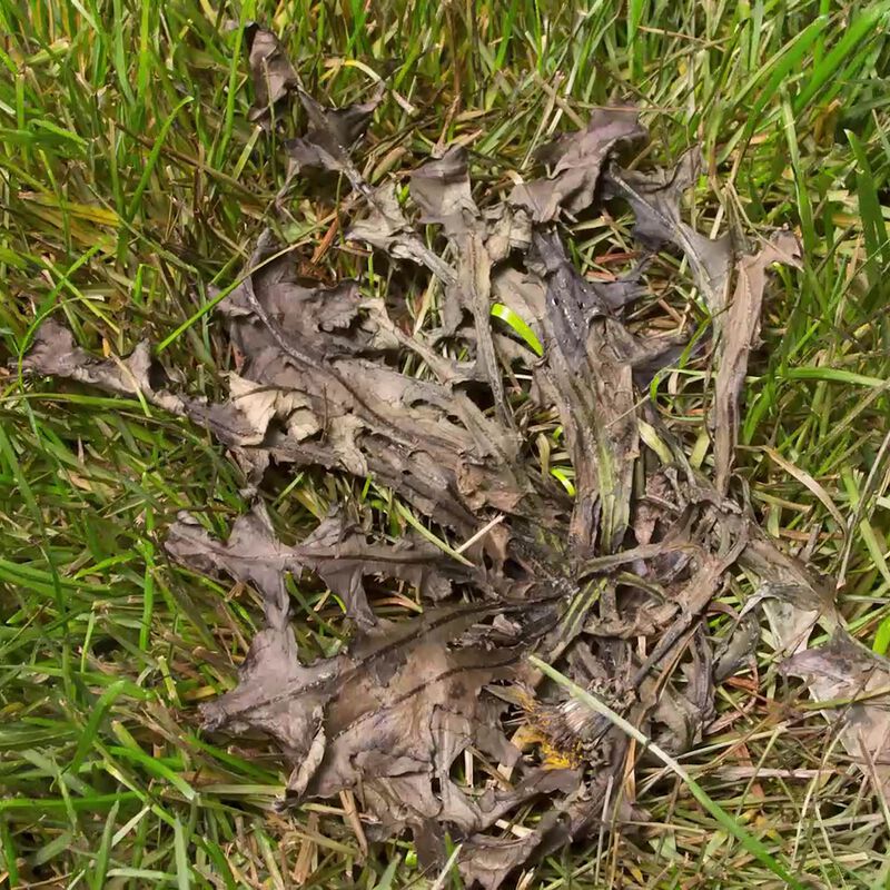 Scotts® Weed B Gon® MAX Weed Control  for Lawns Concentrate image number null