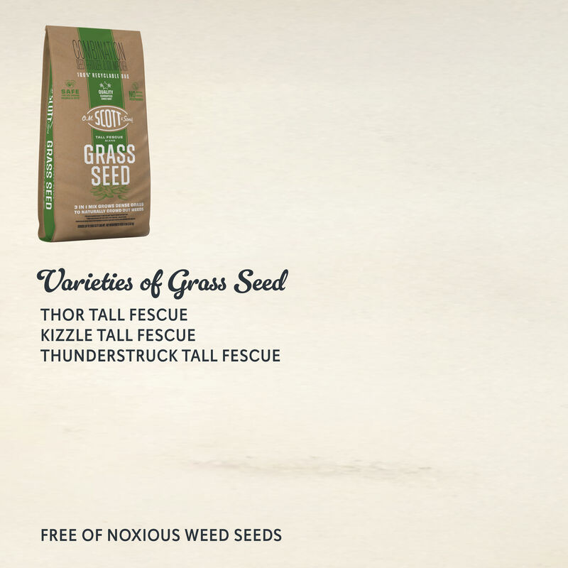 O.M. Scott & Sons™ Tall Fescue Blend Grass Seed image number null