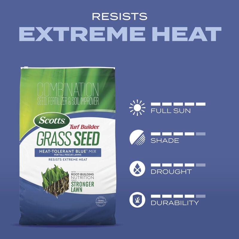 Scotts Turf Builder Grass Seed Heat-Tolerant Blue Mix for Tall Fescue Lawns Scotts Turf Builder Grass Seed Heat-Tolerant Blue Mix for Tall Fescue Lawns