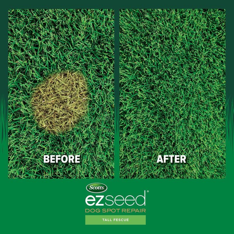 Scotts® EZ Seed® Dog Spot Repair Tall Fescue Lawns image number null