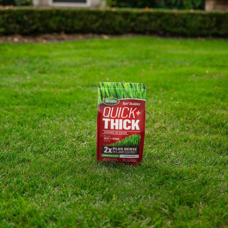 Scotts® Turf Builder® Quick + Thick™ Grass Seed  Sunny Bluegrass Mix image number null